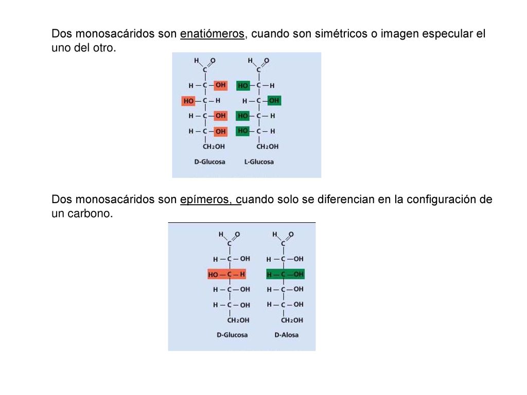Dos monosacáridos son enatiómeros, cuando son simétricos o imagen especular el uno del otro.