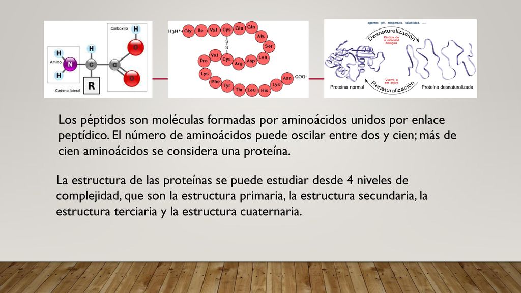 Los péptidos son moléculas formadas por aminoácidos unidos por enlace peptídico. El número de aminoácidos puede oscilar entre dos y cien; más de cien aminoácidos se considera una proteína.