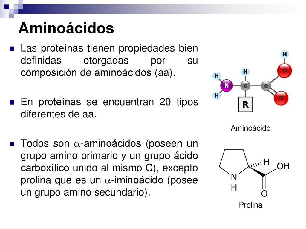 Aminoácidos Las proteínas tienen propiedades bien definidas otorgadas por su composición de aminoácidos (aa).