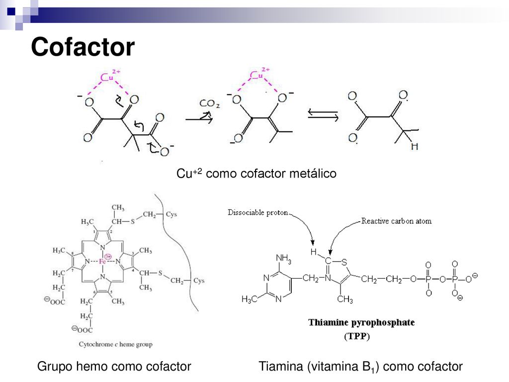 Cofactor Cu+2 como cofactor metálico Grupo hemo como cofactor