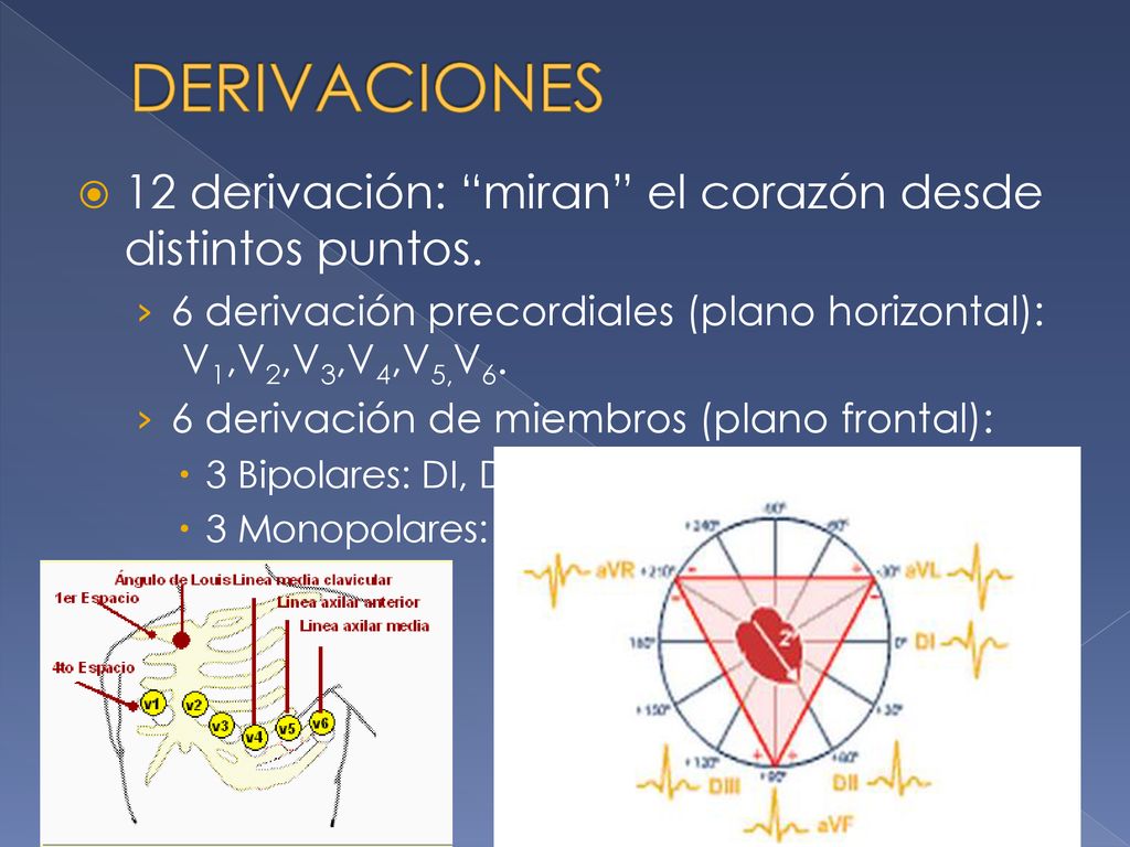 DERIVACIONES 12 derivación: miran el corazón desde distintos puntos.