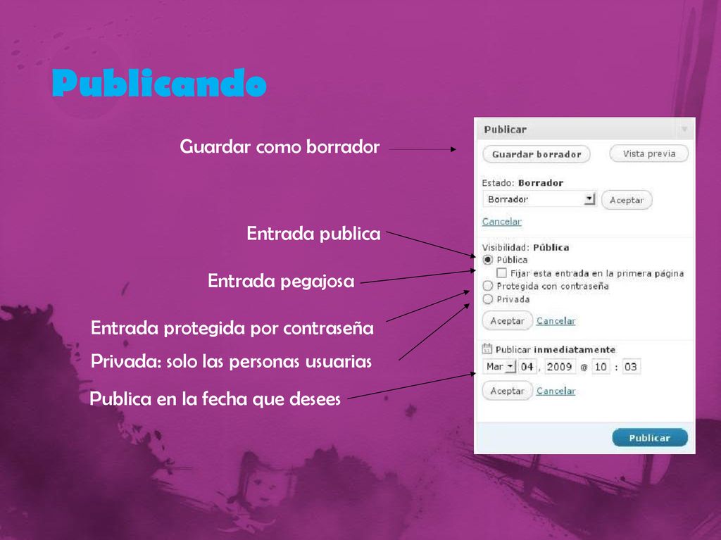 Publicando Guardar como borrador Entrada publica Entrada pegajosa