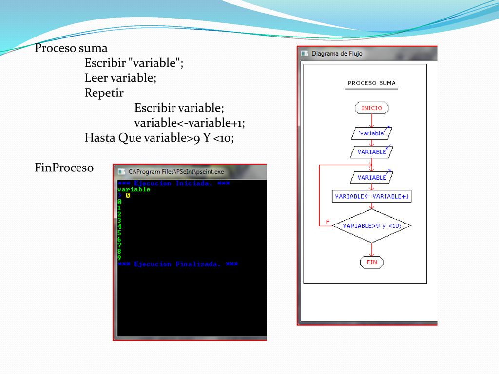 Proceso suma Escribir variable ; Leer variable; Repetir. Escribir variable; variable<-variable+1;