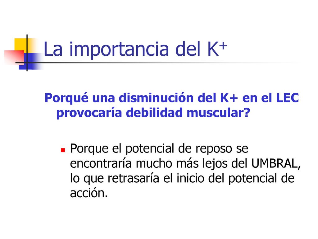 La importancia del K+ Porqué una disminución del K+ en el LEC provocaría debilidad muscular