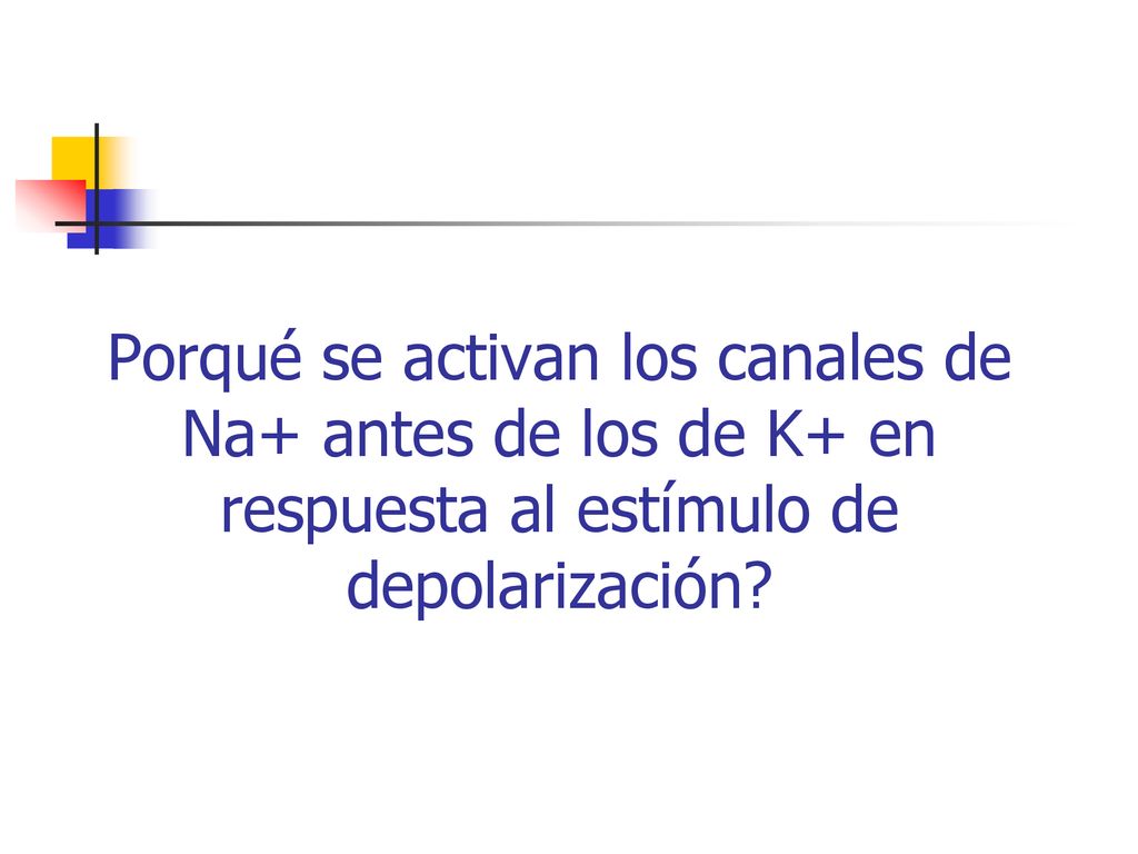 Porqué se activan los canales de Na+ antes de los de K+ en respuesta al estímulo de depolarización
