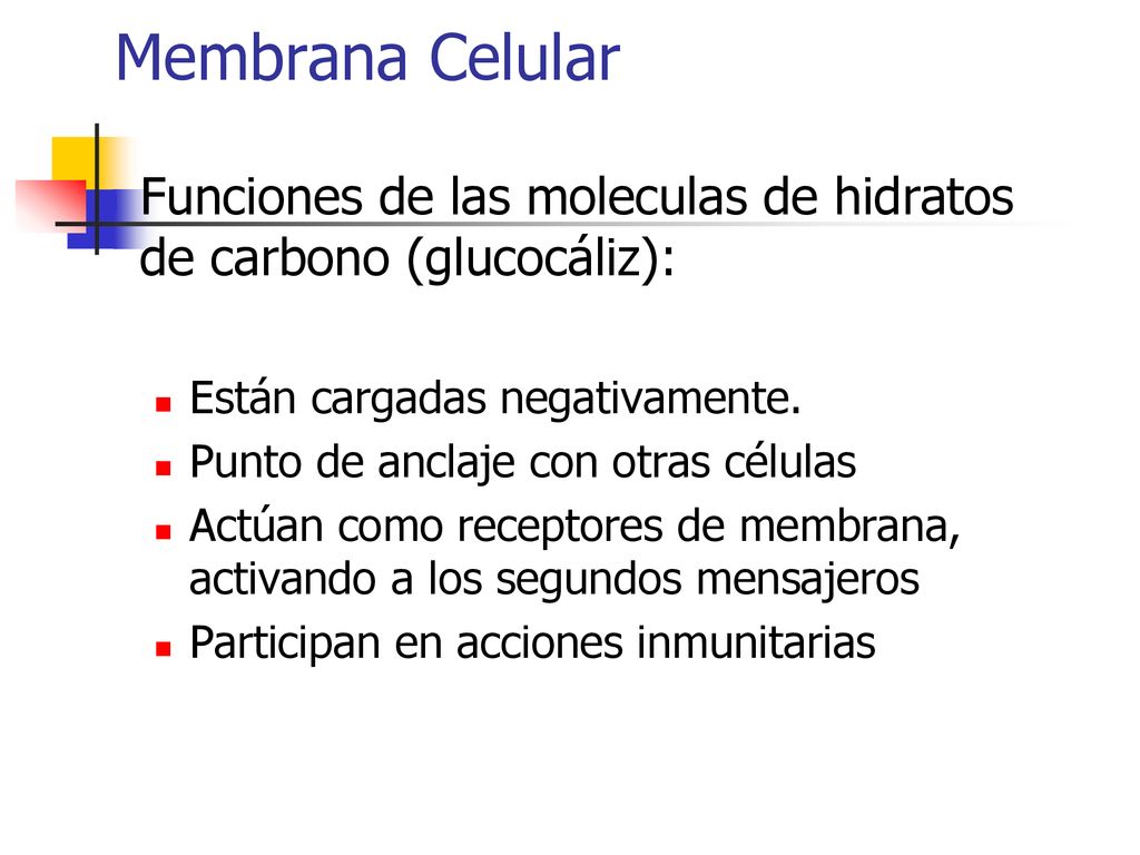 Membrana Celular Funciones de las moleculas de hidratos de carbono (glucocáliz): Están cargadas negativamente.