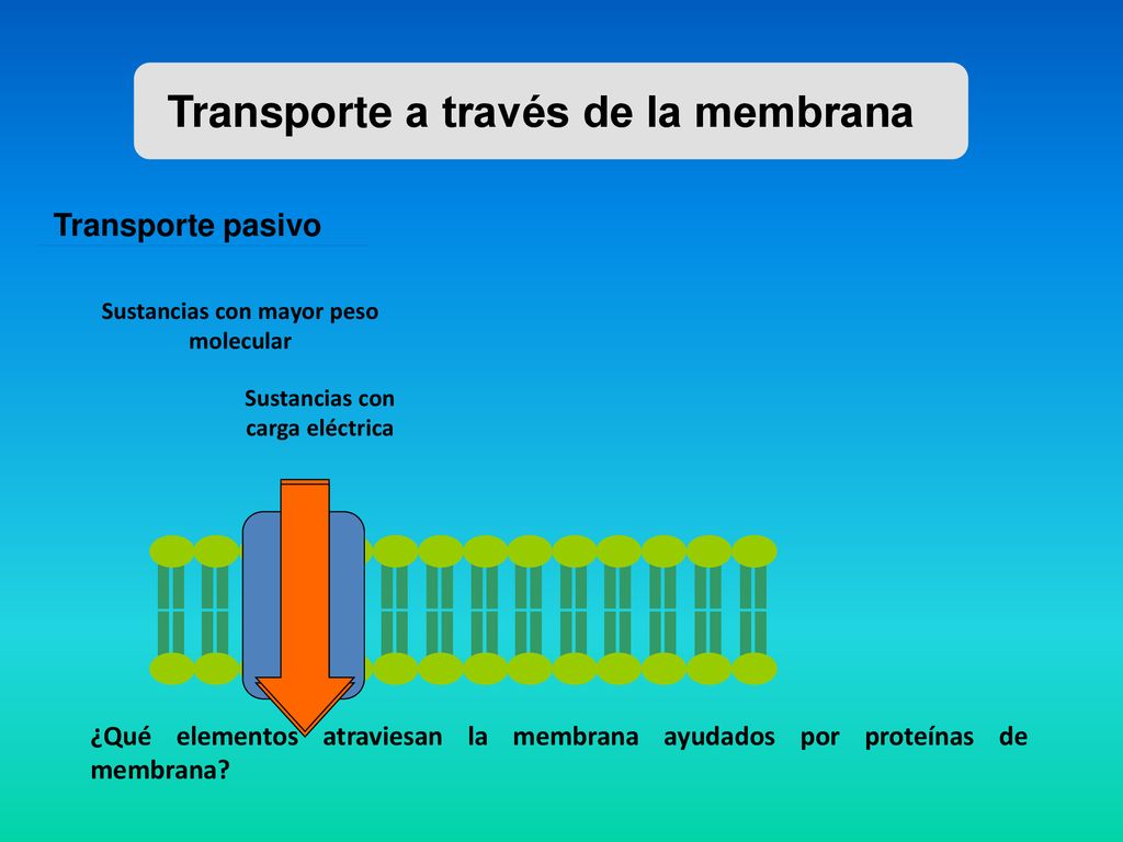 Sustancias con mayor peso molecular Sustancias con carga eléctrica