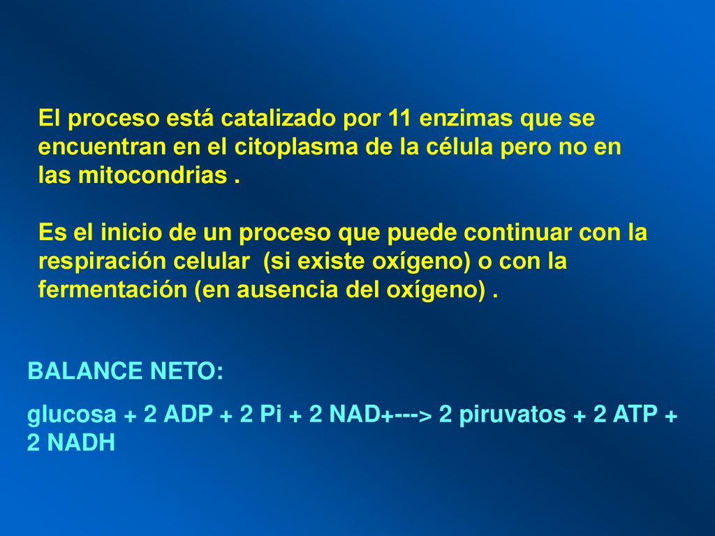 El proceso está catalizado por 11 enzimas que se encuentran en el citoplasma de la célula pero no en las mitocondrias .