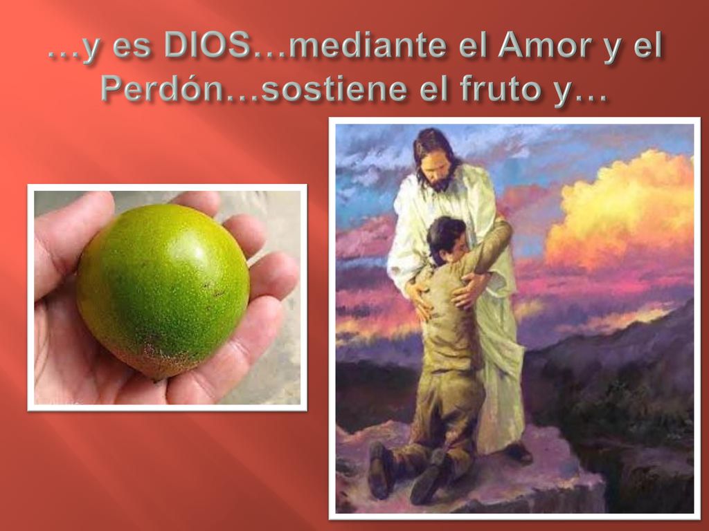 …y es DIOS…mediante el Amor y el Perdón…sostiene el fruto y…