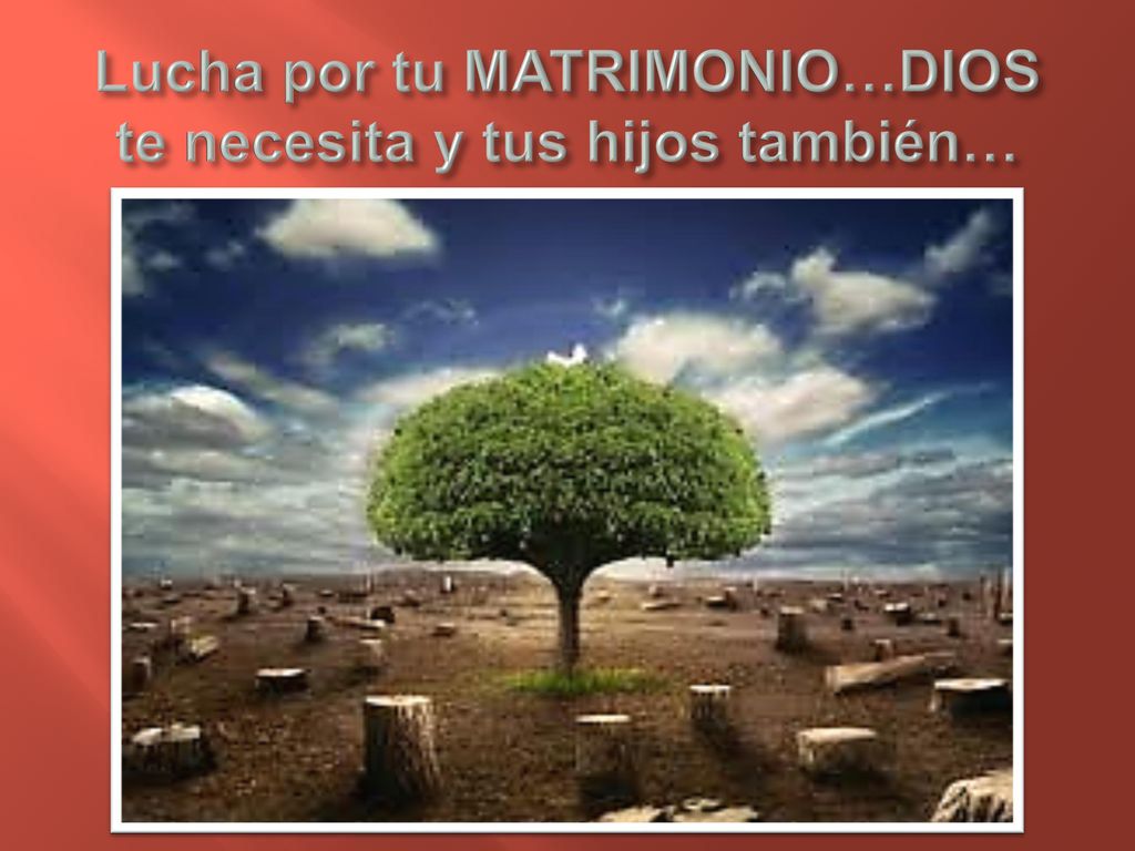 Lucha por tu MATRIMONIO…DIOS te necesita y tus hijos también…