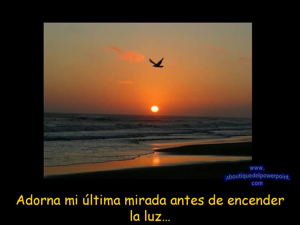 Adorna mi última mirada antes de encender la luz…