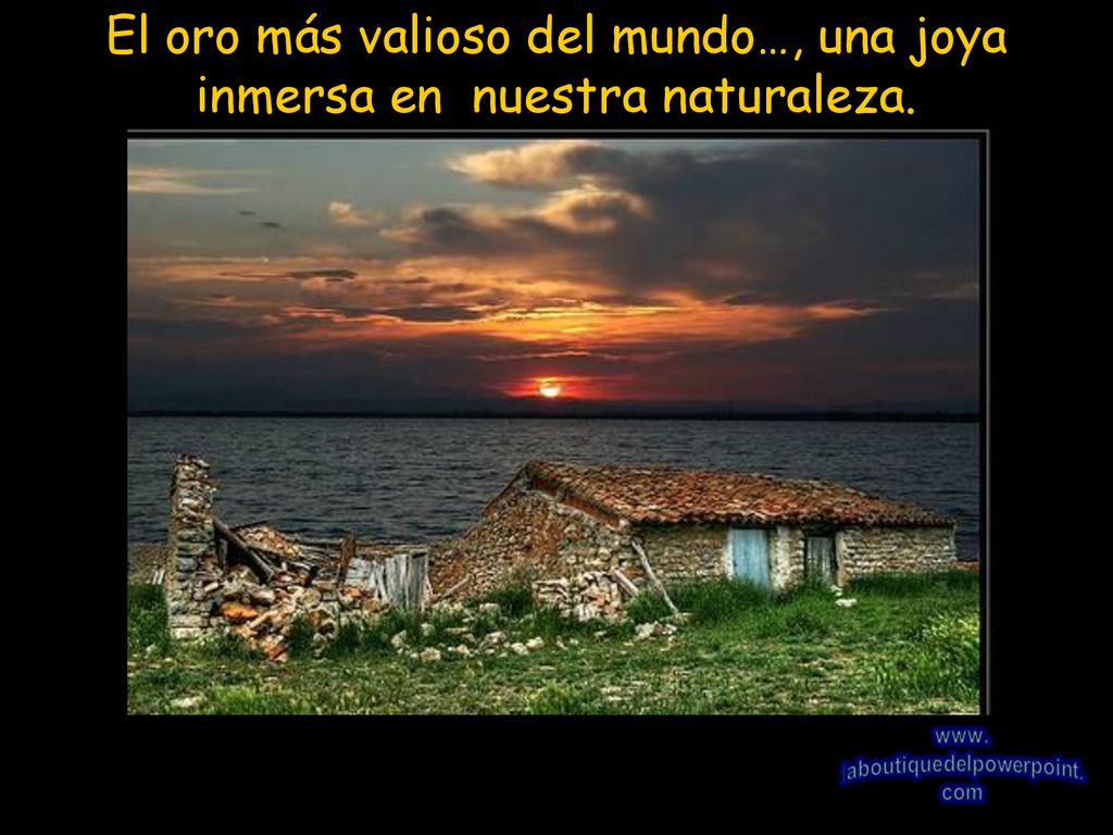 El oro más valioso del mundo…, una joya inmersa en nuestra naturaleza.