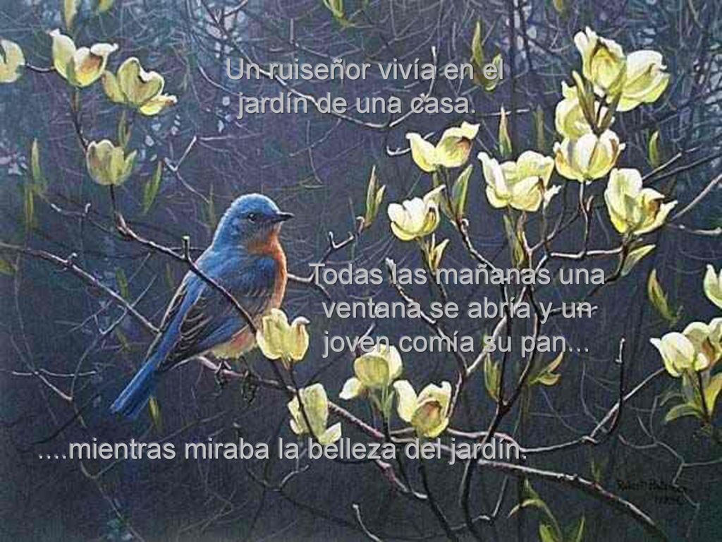 Un ruiseñor vivía en el jardín de una casa.