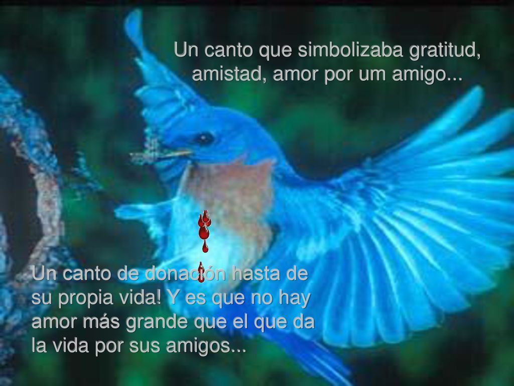 Un canto que simbolizaba gratitud, amistad, amor por um amigo...
