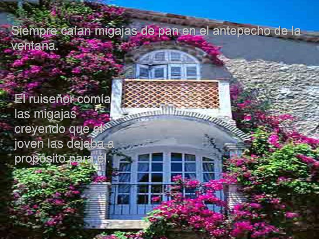Siempre caían migajas de pan en el antepecho de la ventana.