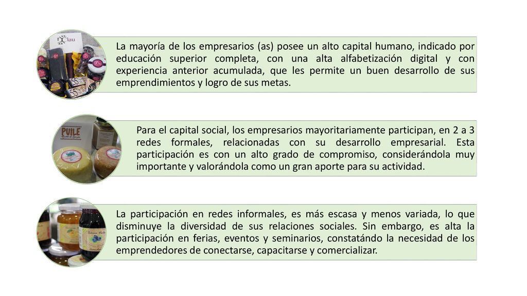 La mayoría de los empresarios (as) posee un alto capital humano, indicado por educación superior completa, con una alta alfabetización digital y con experiencia anterior acumulada, que les permite un buen desarrollo de sus emprendimientos y logro de sus metas.