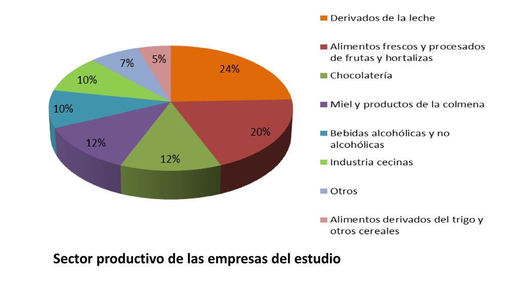 Sector productivo de las empresas del estudio