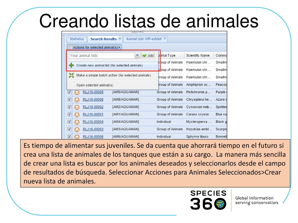 Creando listas de animales