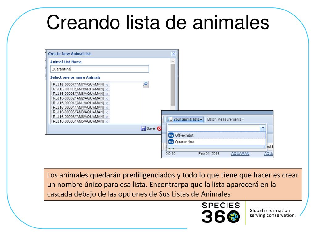 Creando lista de animales