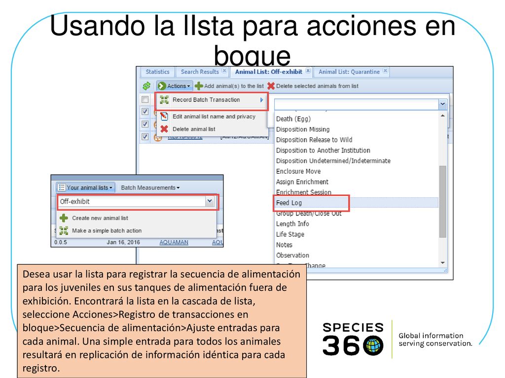 Usando la lIsta para acciones en boque