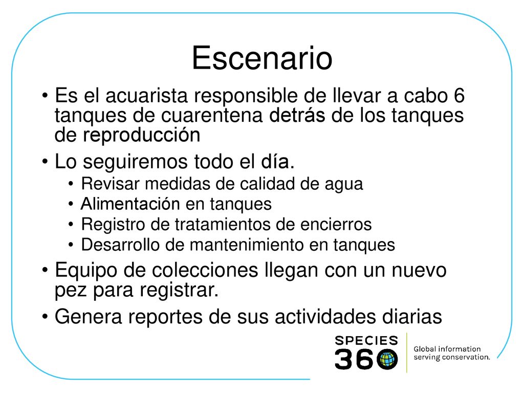 Escenario Es el acuarista responsible de llevar a cabo 6 tanques de cuarentena detrás de los tanques de reproducción.