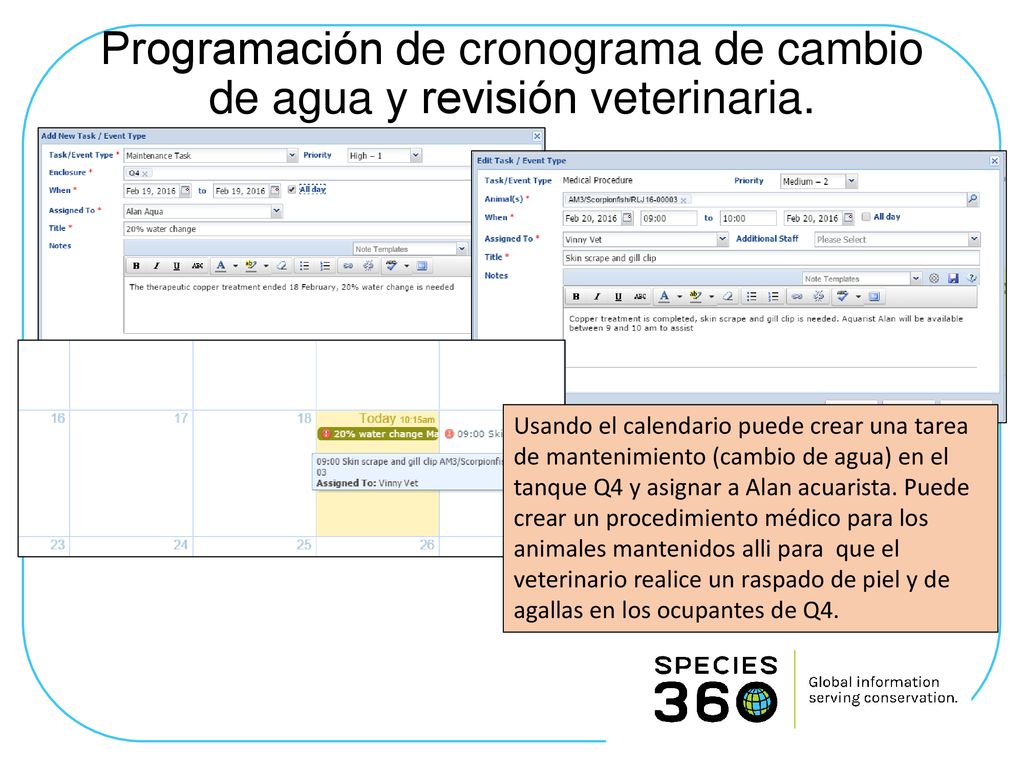 Programación de cronograma de cambio de agua y revisión veterinaria.