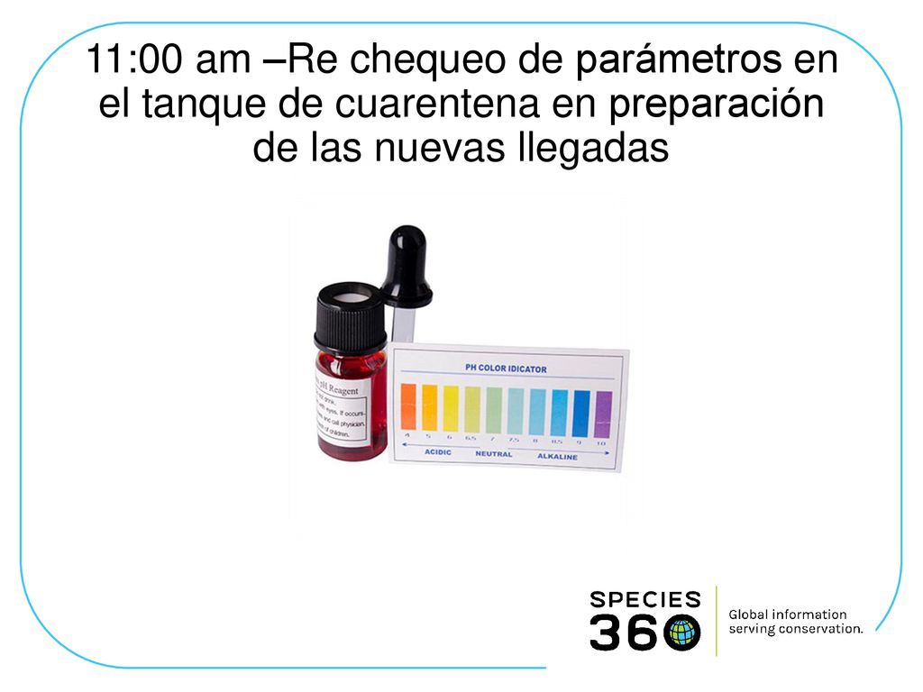 11:00 am –Re chequeo de parámetros en el tanque de cuarentena en preparación de las nuevas llegadas