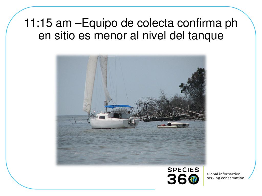 11:15 am –Equipo de colecta confirma ph en sitio es menor al nivel del tanque