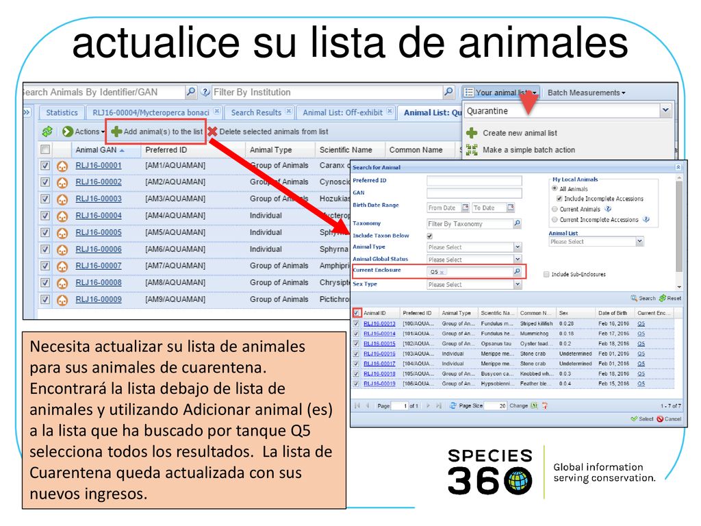 actualice su lista de animales