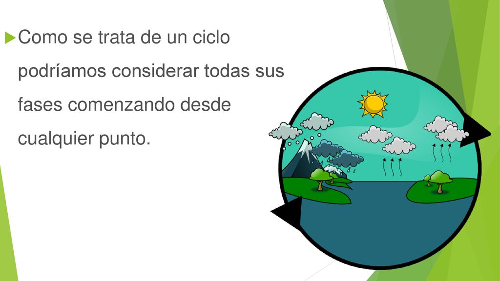 Como se trata de un ciclo podríamos considerar todas sus fases comenzando desde cualquier punto.