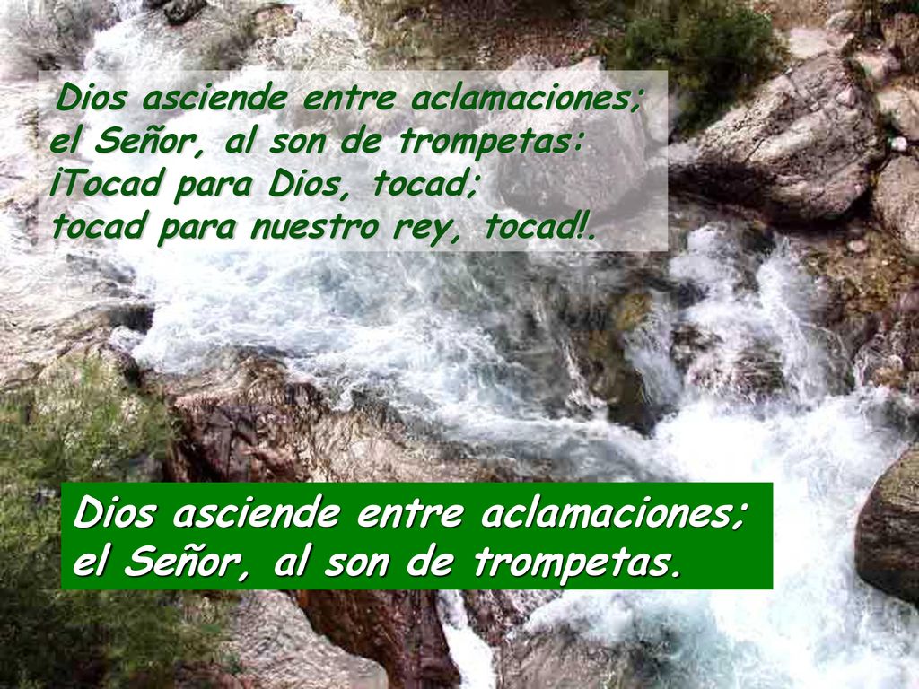 Dios asciende entre aclamaciones; el Señor, al son de trompetas.