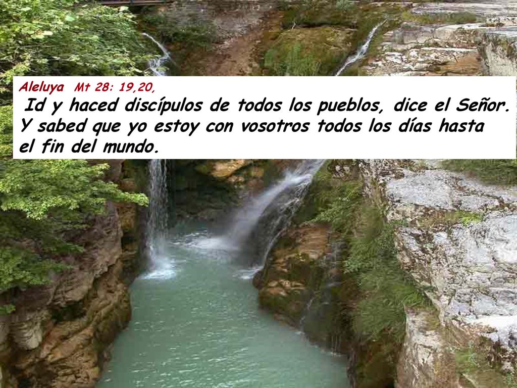 Aleluya Mt 28: 19,20, Id y haced discípulos de todos los pueblos, dice el Señor.