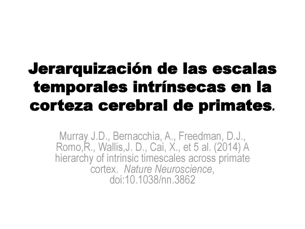 Jerarquización de las escalas temporales intrínsecas en la corteza cerebral de primates.