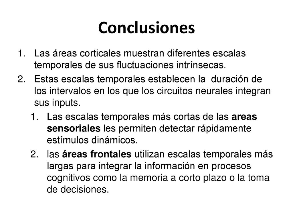 Conclusiones Las áreas corticales muestran diferentes escalas temporales de sus fluctuaciones intrínsecas.