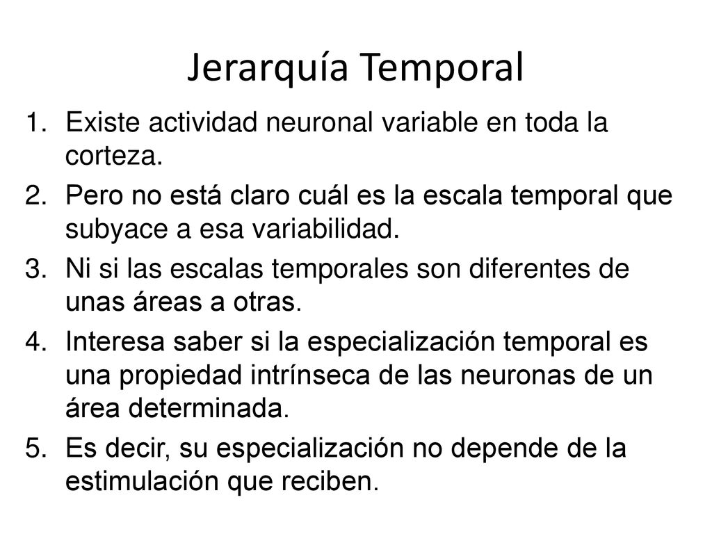 Jerarquía Temporal Existe actividad neuronal variable en toda la corteza.