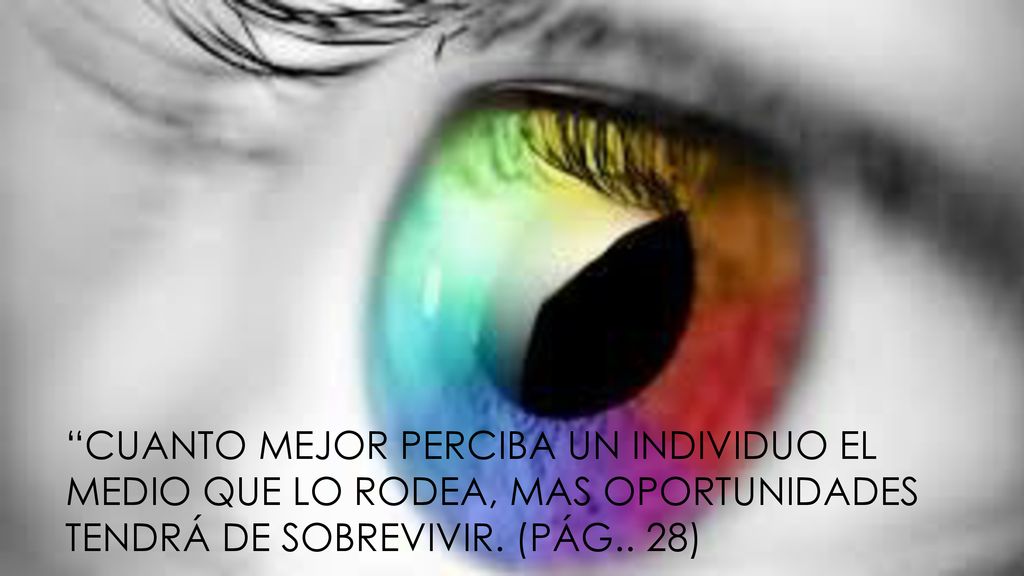 cuanto mejor perciba un individuo el medio que lo rodea, mas oportunidades tendrá de sobrevivir.