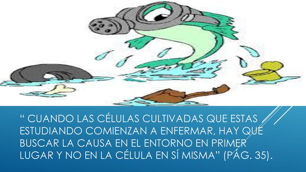 cuando las células cultivadas que estas estudiando comienzan a enfermar, hay que buscar la causa en el entorno en primer lugar y no en la célula en sí misma (pág.