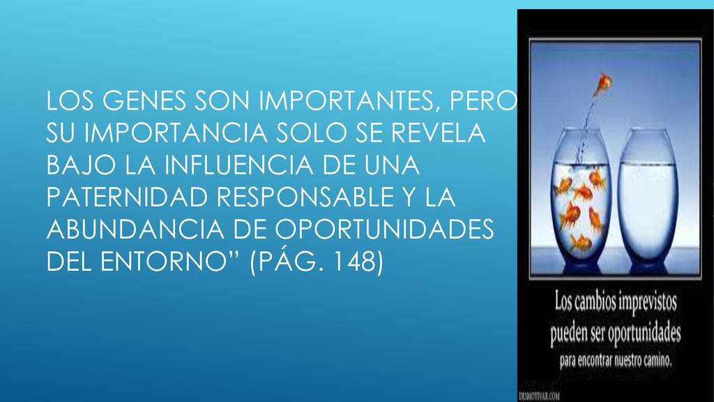 Los genes son importantes, pero su importancia solo se revela bajo la influencia de una paternidad responsable y la abundancia de oportunidades del entorno (pág.