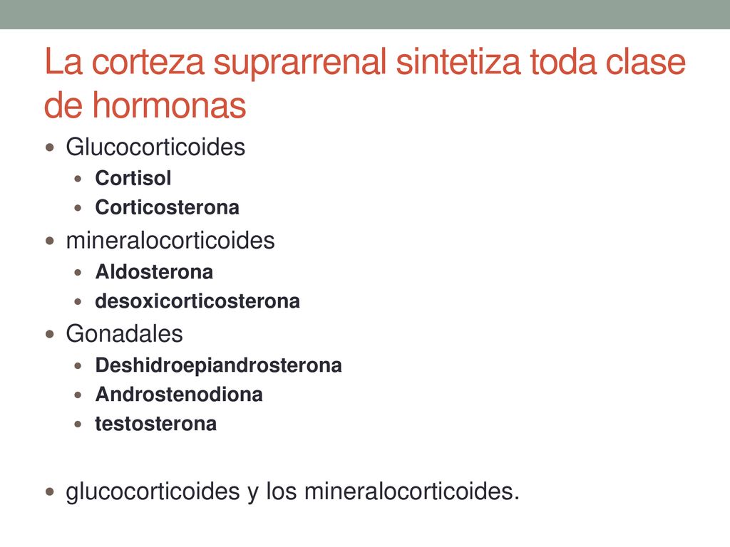 La corteza suprarrenal sintetiza toda clase de hormonas