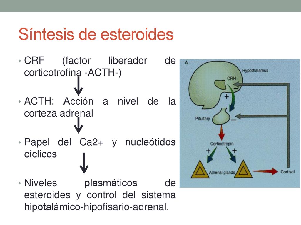 Por qué la mayoría de nombres de esteroides en pastillas fallan