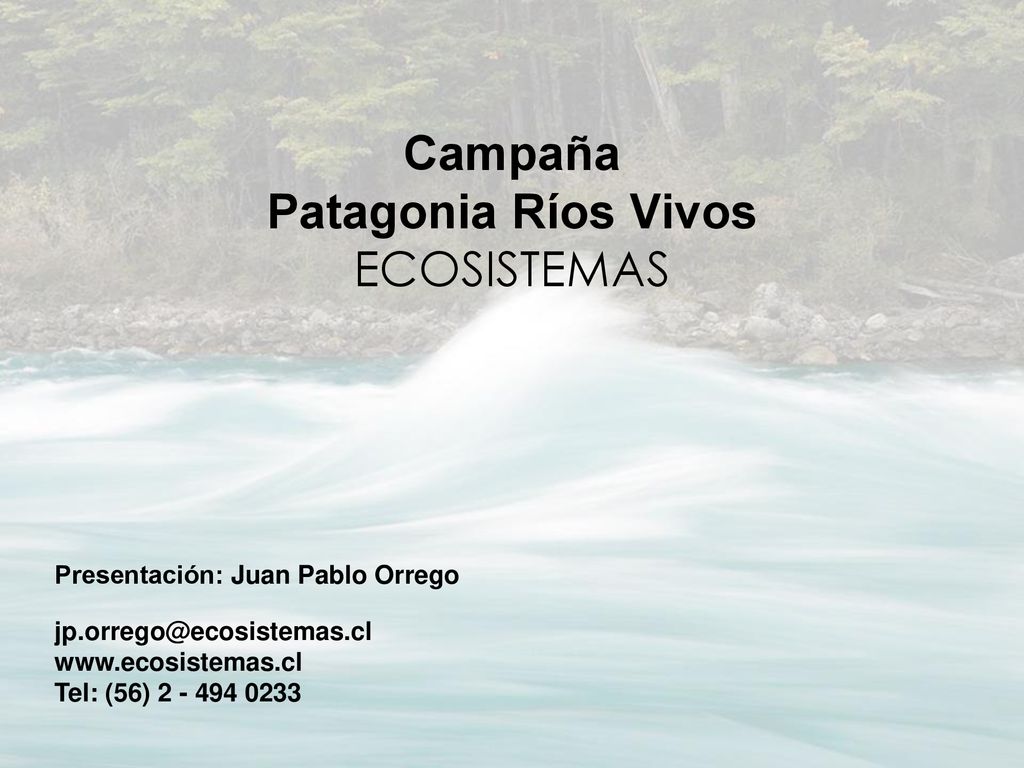 Campaña Patagonia Ríos Vivos