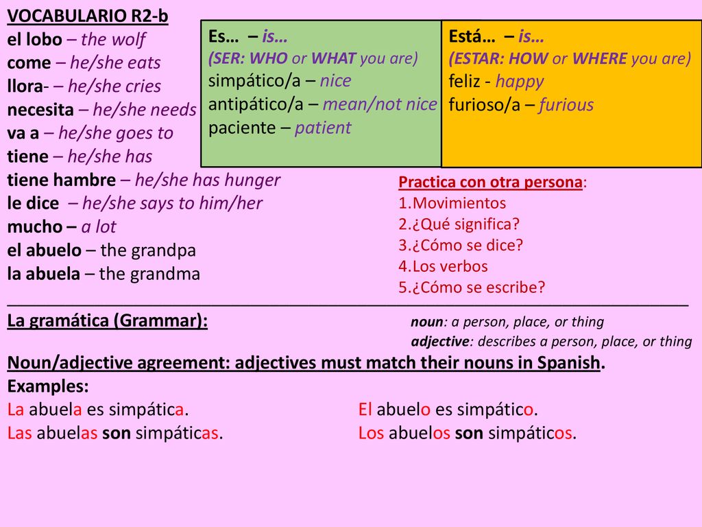 necesita – he/she needs va a – he/she goes to tiene – he/she has