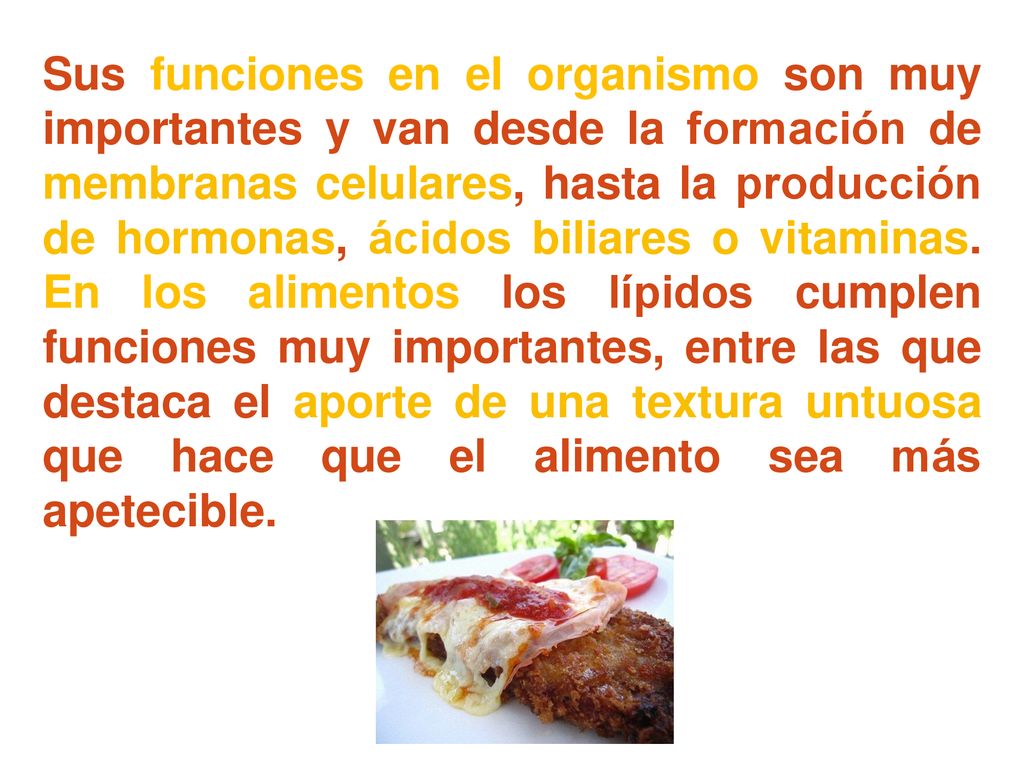 Sus funciones en el organismo son muy importantes y van desde la formación de membranas celulares, hasta la producción de hormonas, ácidos biliares o vitaminas.