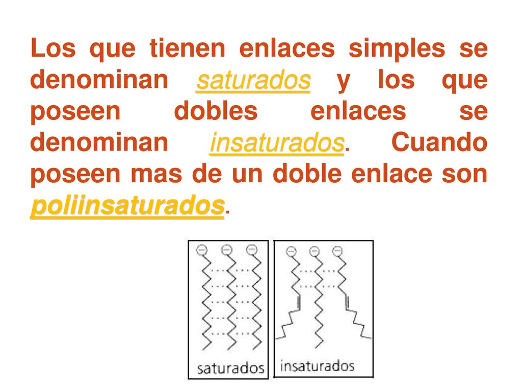Los que tienen enlaces simples se denominan saturados y los que poseen dobles enlaces se denominan insaturados.