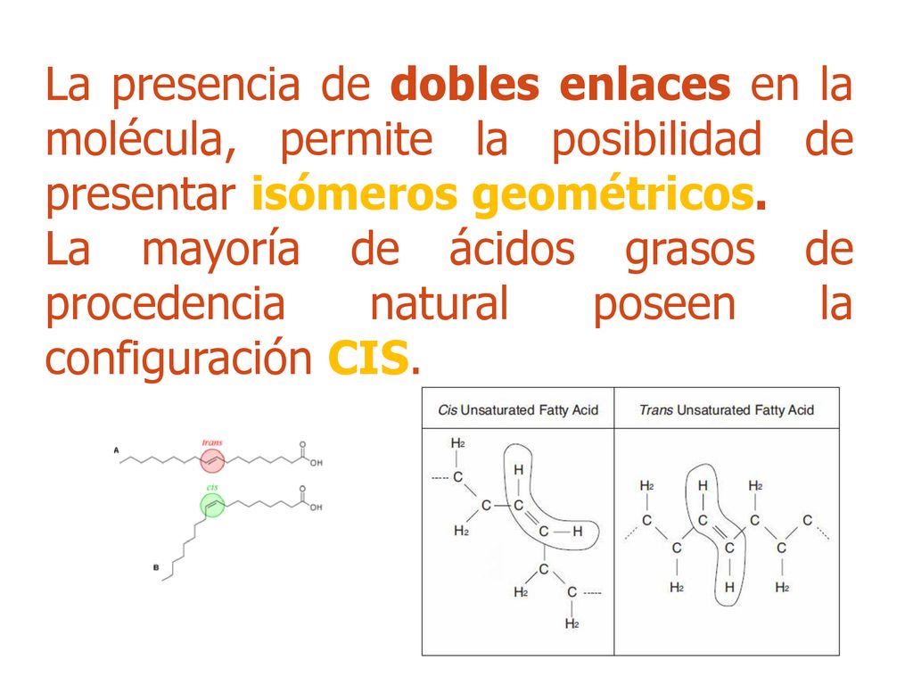 La presencia de dobles enlaces en la molécula, permite la posibilidad de presentar isómeros geométricos.