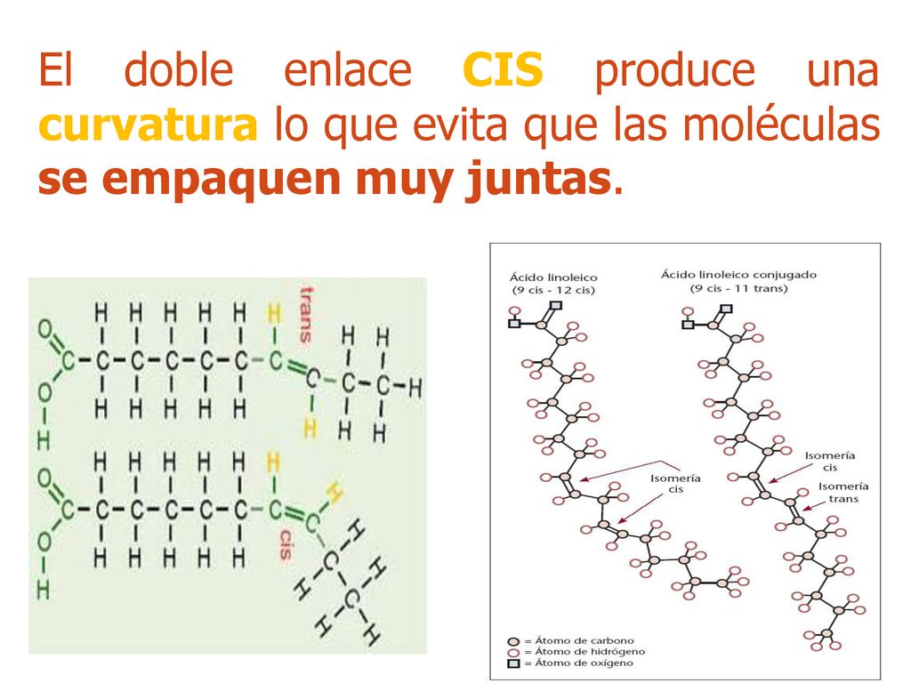 El doble enlace CIS produce una curvatura lo que evita que las moléculas se empaquen muy juntas.