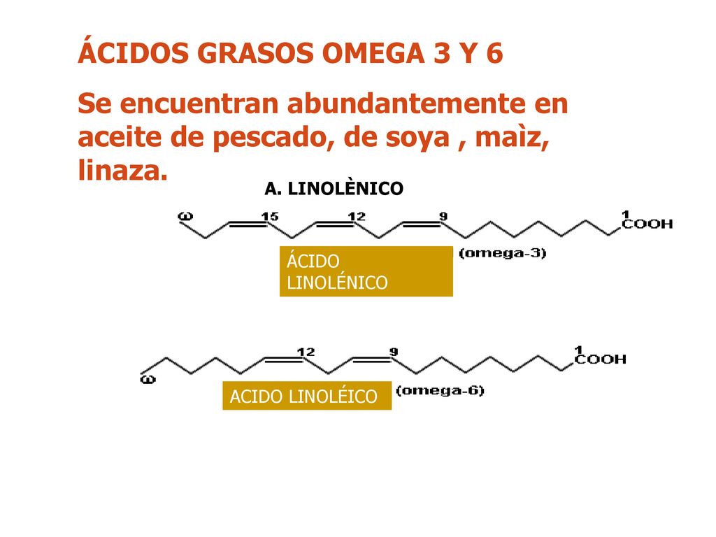 ÁCIDOS GRASOS OMEGA 3 Y 6 Se encuentran abundantemente en aceite de pescado, de soya , maìz, linaza.