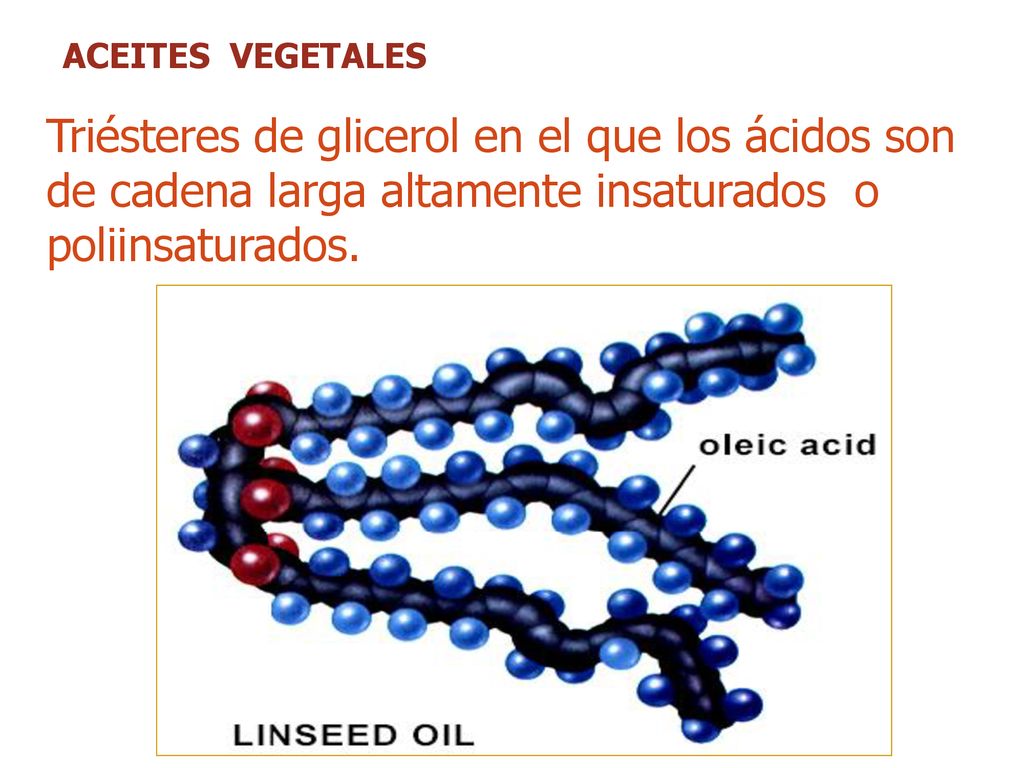ACEITES VEGETALES Triésteres de glicerol en el que los ácidos son de cadena larga altamente insaturados o poliinsaturados.