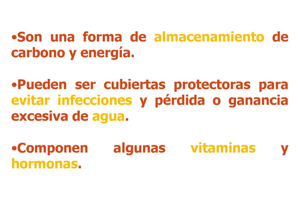 Son una forma de almacenamiento de carbono y energía.