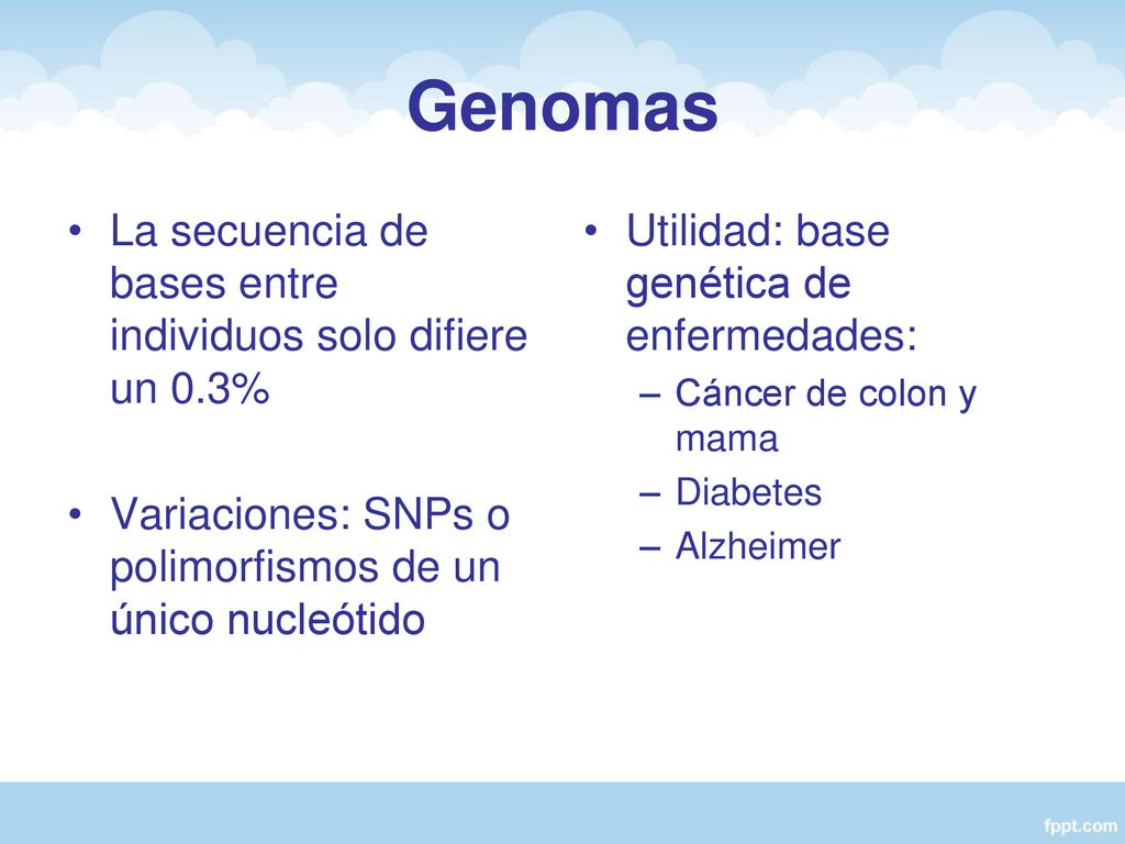 Genomas La secuencia de bases entre individuos solo difiere un 0.3%